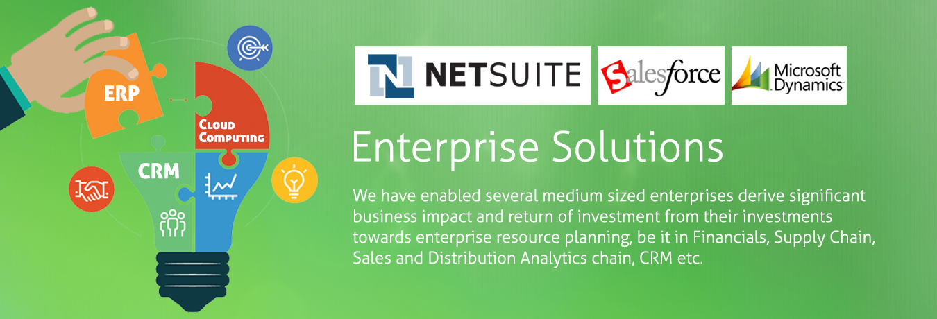 Netsuite, Salesforce, Dynamics, ERP solutions, AX, GP